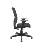 Brizza Back System - Imagem 2