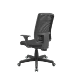 Brizza Back System - Imagem 3