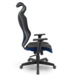 Vizon DZ - Imagem 2
